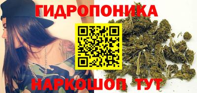 jwh Шелехов