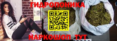 jwh Шелехов