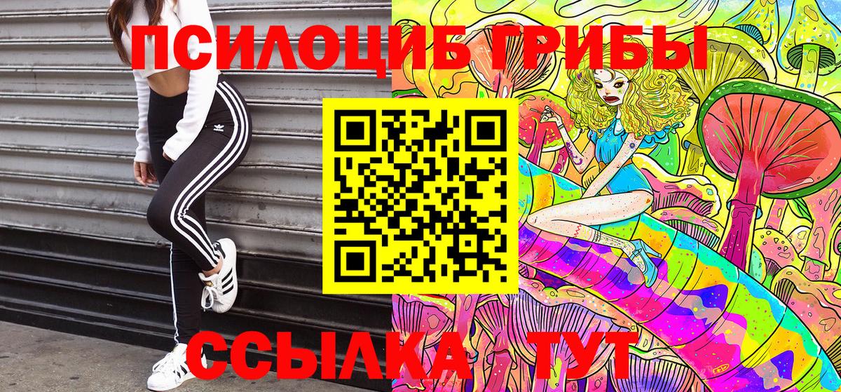 Гулькевичи  Галлюциногенные грибы Cubensis  Вход с VPN 