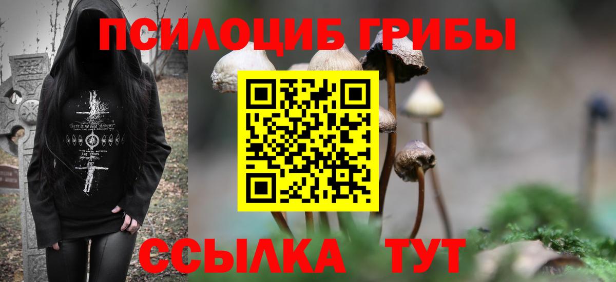 Галлюциногенные грибы ЛСД Гулькевичи